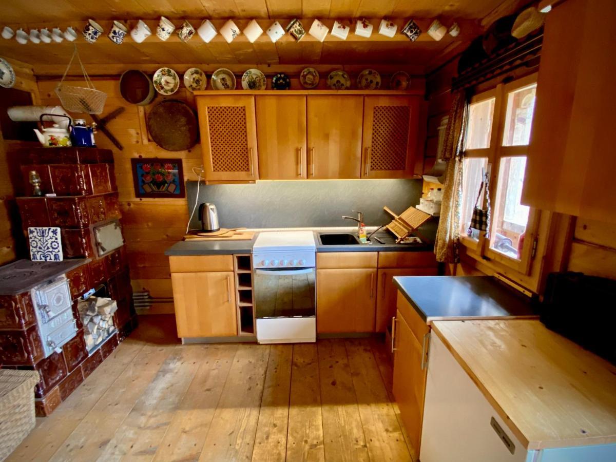 Woodenhouse Maramures Vişeu de Sus Extérieur photo
