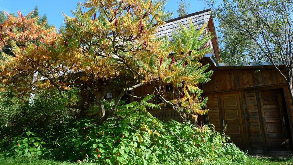 Woodenhouse Maramures Vişeu de Sus Extérieur photo
