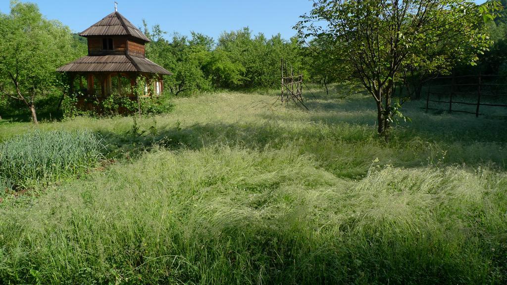 Woodenhouse Maramures Vişeu de Sus Extérieur photo