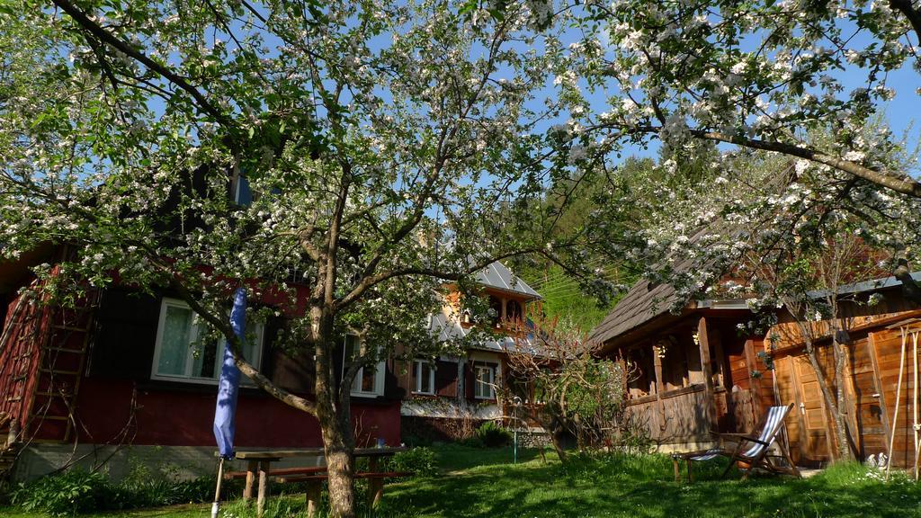 Woodenhouse Maramures Vişeu de Sus Extérieur photo