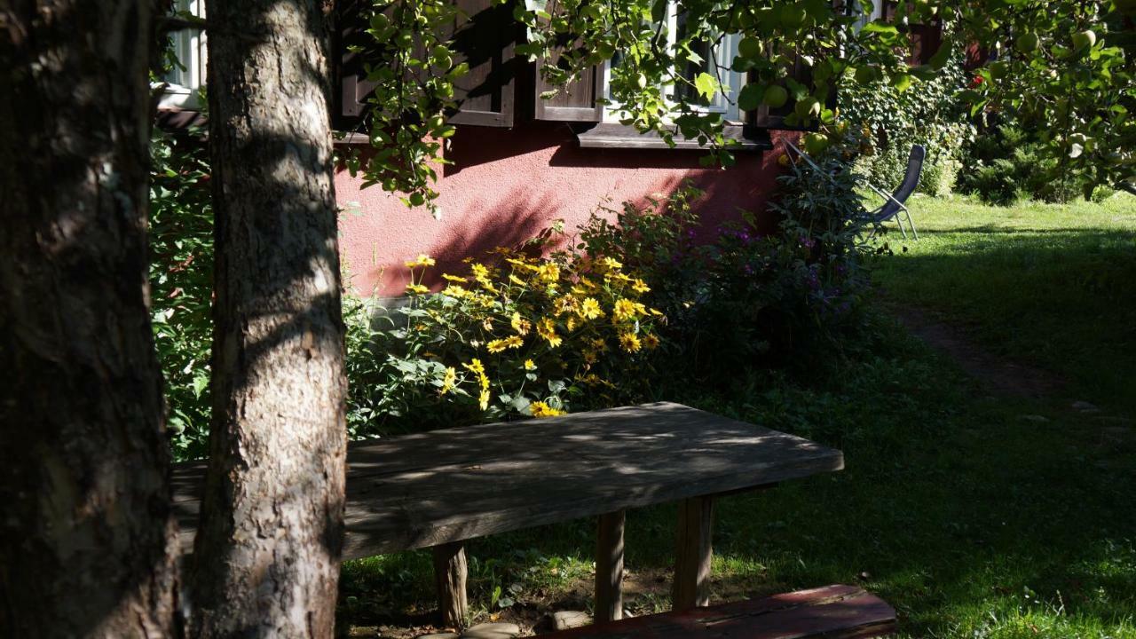 Woodenhouse Maramures Vişeu de Sus Extérieur photo